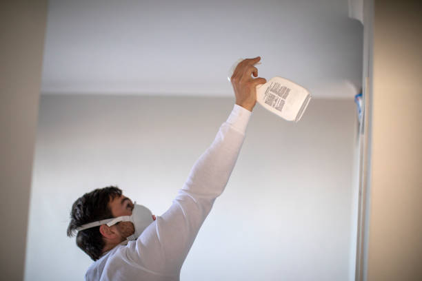 Best Best Mold Removal Companies  in Mabscott, WV