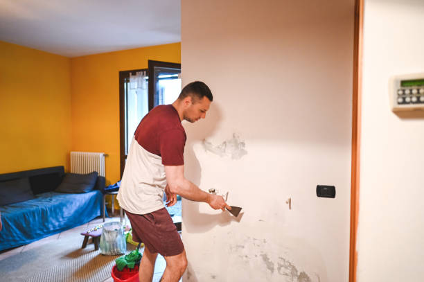 Best Mold Cleaning Services  in Mabscott, WV